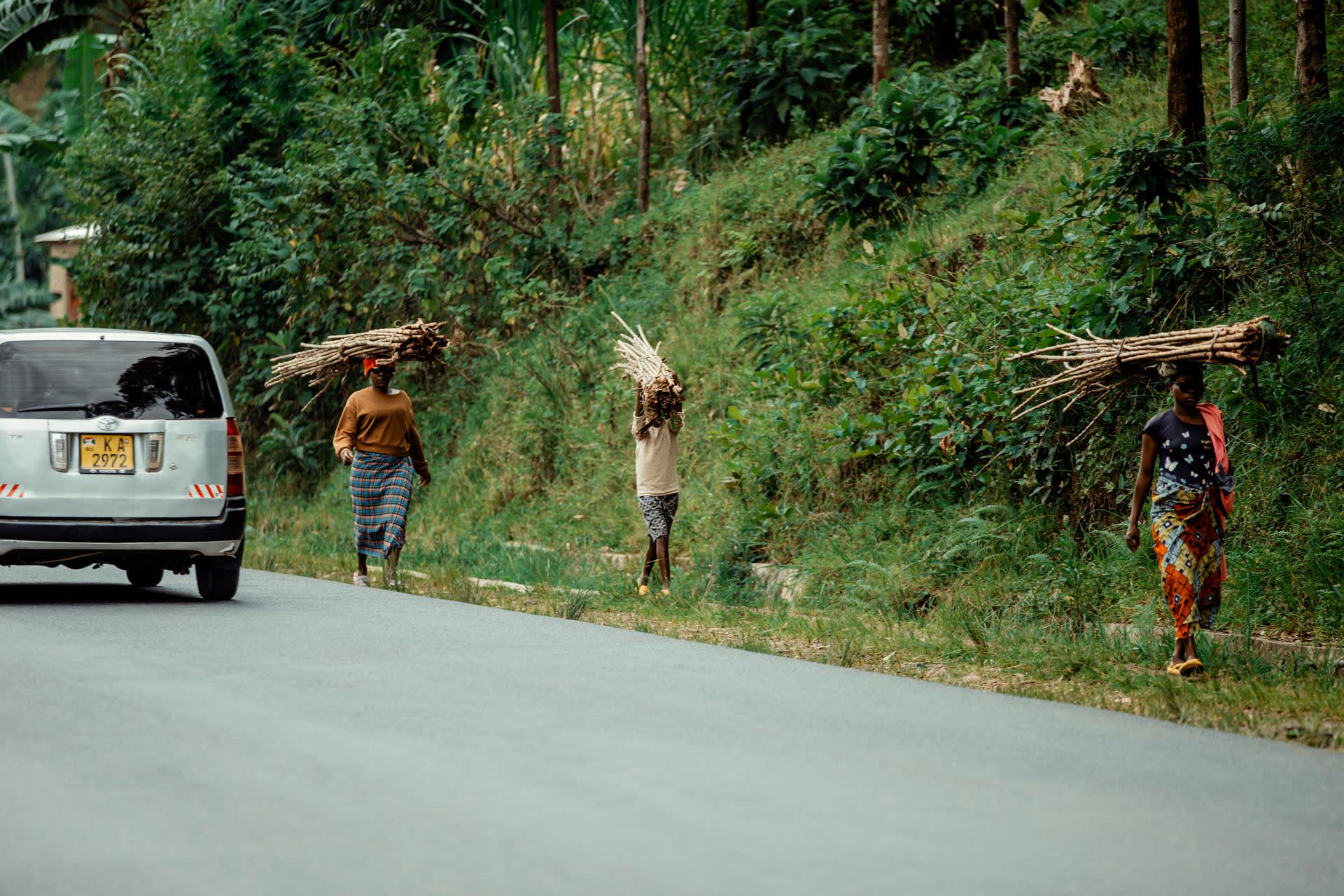 People carrying firewood along a road
