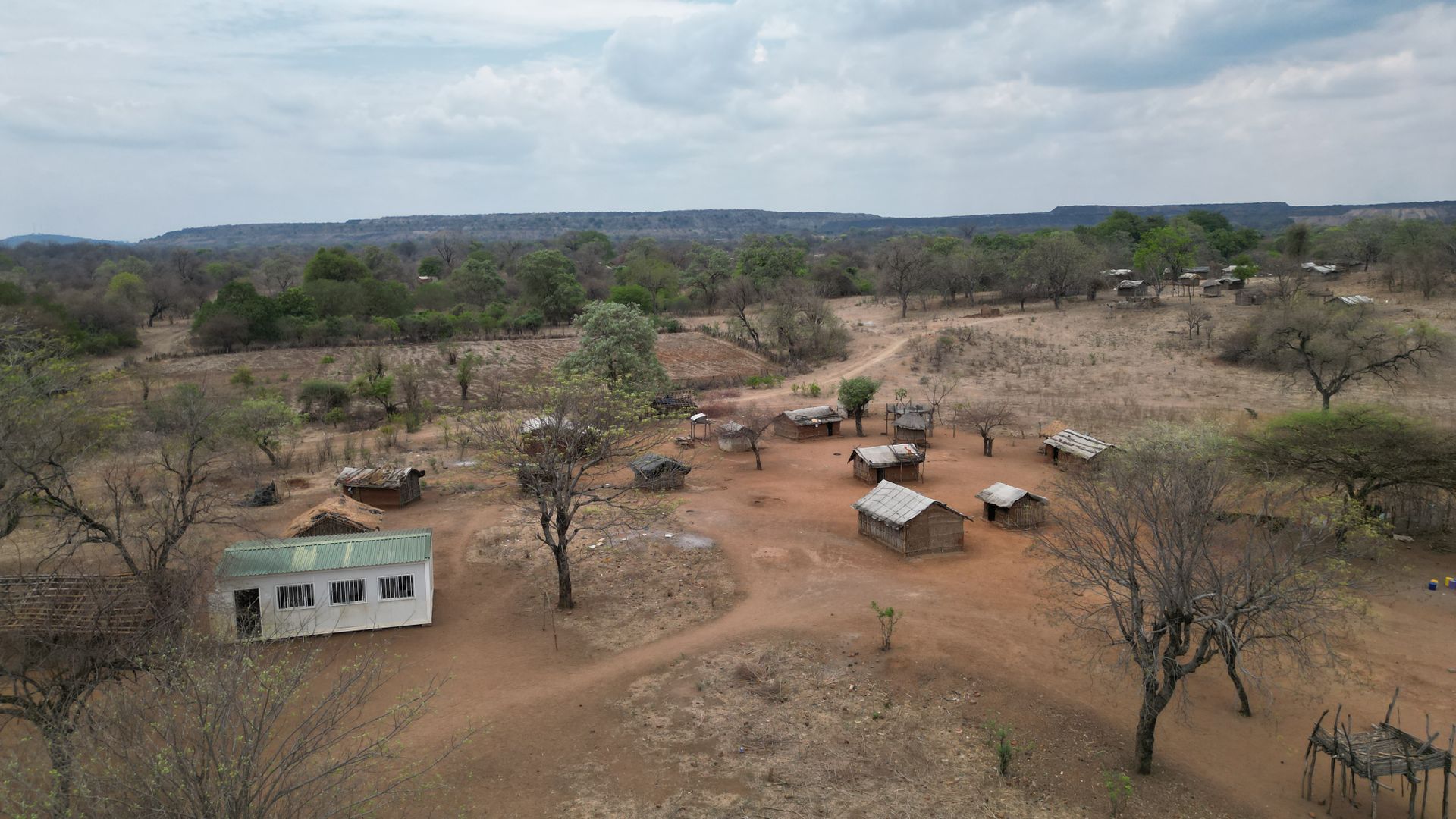 A village among scattered trees, seen from above